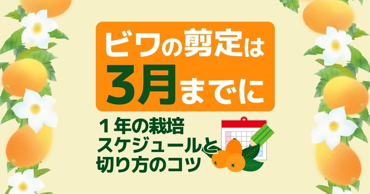 ビワの剪定は３月までに 一年の栽培スケジュールと切り方のコツ