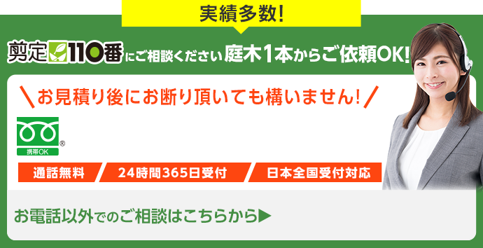 剪定110番にご相談ください。庭木一本からご依頼OK!