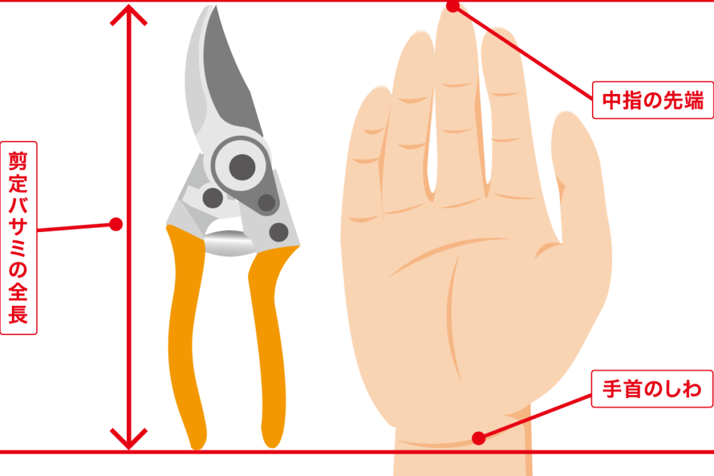 道具_剪定バサミの選び方と手長