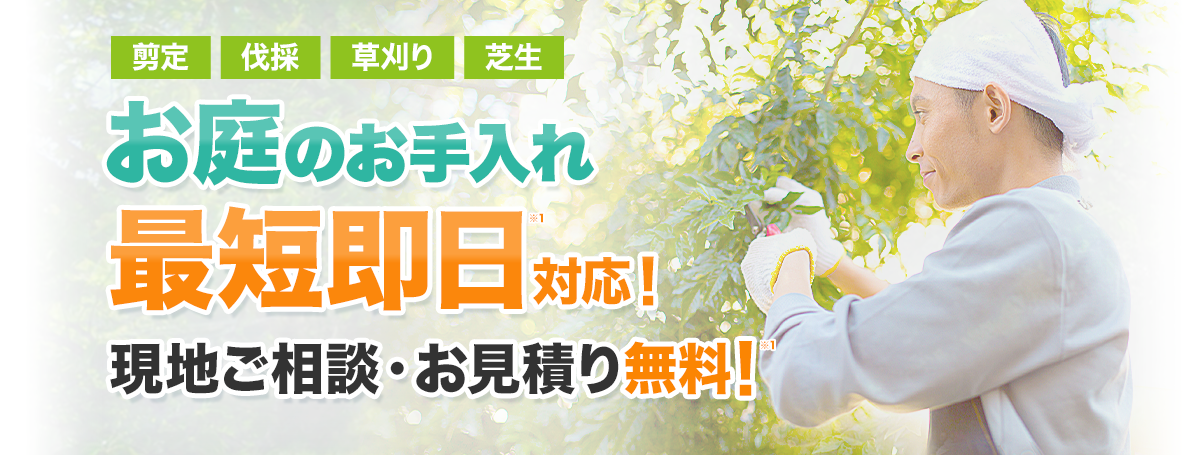 芝刈り・草刈り・剪定・伐採・砂利敷き　お庭のお手入れ最短即日対応可能!!