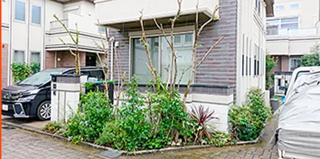 剪定された植え込み