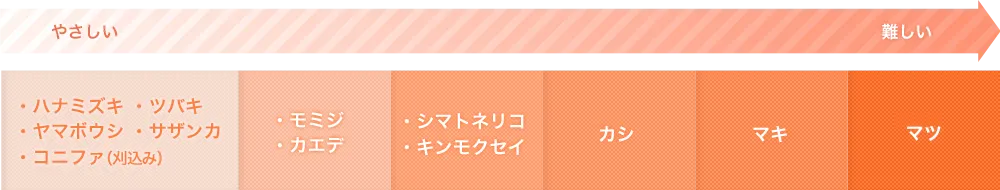 剪定難易度がやさしいものから順にハナミズキ・モミジ・シマトネリコ・カシ・マキ・マツ　他様々な木々に対応しています！