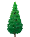 常緑樹