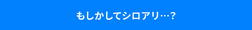 シロアリ セルフチェック