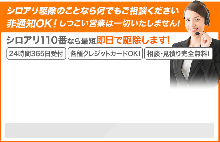 シロアリ駆除の事ことなら何でも相談してください非通知OK!しつこい営業は一切いたしません！シロアリ110番なら最短即日で駆除します！24時間365日受付、各種クレジットカードOK！相談・見積り完全無料