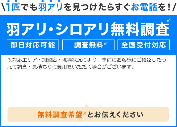 1匹でも羽アリを見つけたらすぐお電話を！羽アリ・シロアリ無料調査、即日対応、調査無料、全国受付対応、無料通話。無料調査希望とお伝えください！24時間受付中！