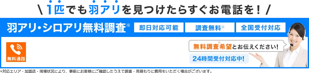 1匹でも羽アリを見つけたらすぐお電話を！羽アリ・シロアリ無料調査、即日対応、調査無料、全国受付対応、無料通話。無料調査希望とお伝えください！24時間受付中！