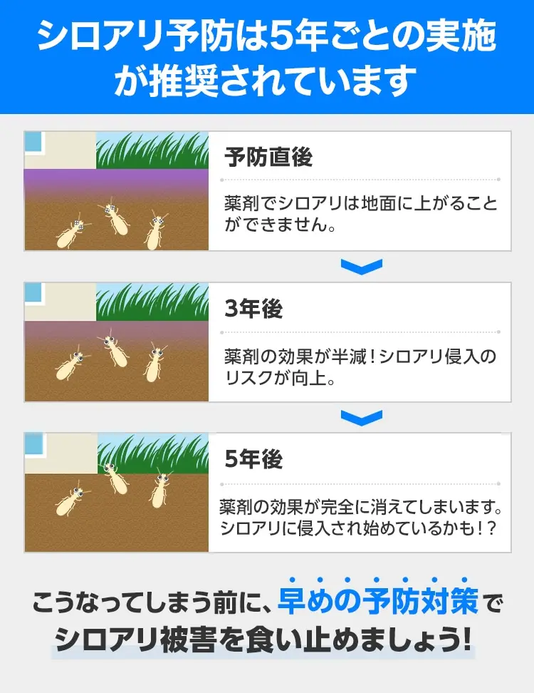 シロアリ予防は5年ごとの実施が推奨されています。これはシロアリ予防業者の多くが5年の効力の薬剤を使用しているためです。そのため再発防止の保証期間も5年に設定している業者も多く、シロアリ予防業者の中には5年保証を2回分の費用で10年保証としておこなっている業者も存在します。費用を予防直後　薬剤でシロアリは地面に上がることができません。3年後　薬剤の効果が半減！シロアリ侵入のリスクが向上。5年後　薬剤の効果が完全に消えてしまいます。シロアリに侵入され始めているかも！？こうなってしまう前に早めの予防対策でシロアリ被害を食い止めましょう！