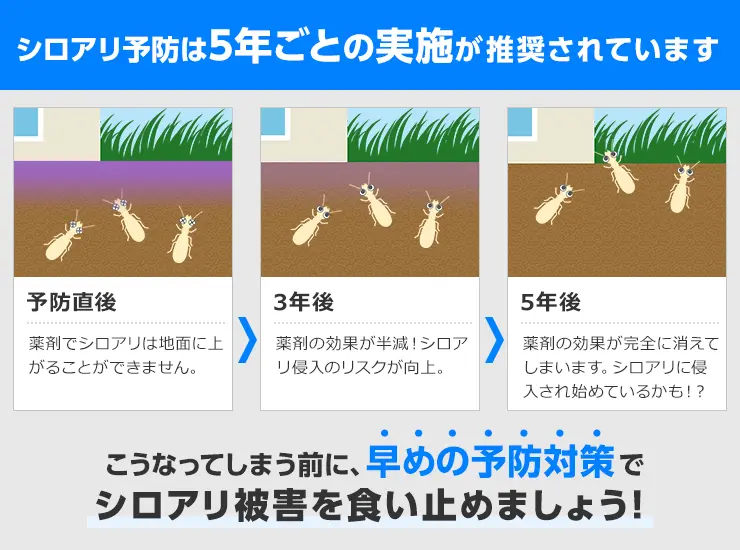 シロアリ予防は5年ごとの実施が推奨されています。これはシロアリ予防業者の多くが5年の効力の薬剤を使用しているためです。そのため再発防止の保証期間も5年に設定している業者も多く、シロアリ予防業者の中には5年保証を2回分の費用で10年保証としておこなっている業者も存在します。費用を予防直後　薬剤でシロアリは地面に上がることができません。3年後　薬剤の効果が半減！シロアリ侵入のリスクが向上。5年後　薬剤の効果が完全に消えてしまいます。シロアリに侵入され始めているかも！？こうなってしまう前に早めの予防対策でシロアリ被害を食い止めましょう！