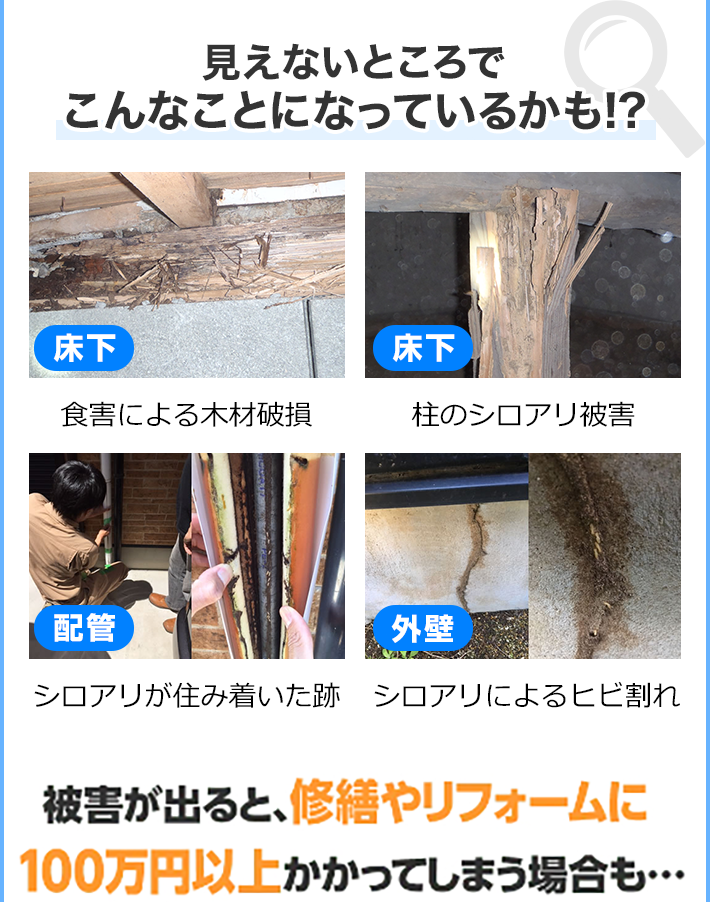見えないところで こんなことになっているかも！？そうなる前に早めのシロアリ駆除予防をおすすめします。多くのシロアリ予防業者の施工には5年間の再発防止保証がついているので安心です。シロアリ予防業者の中には5年保証を2回分のセット費用として10年保証をつけている業者も存在します。被害が出ると、修繕・リフォーム費用・シロアリ予防料金も含め100万円以上かかってしまうことも…　床下　食害による木材破損　床下　柱のシロアリ被害　配管　シロアリが住み着いた跡　外壁　シロアリによるひび割れ