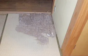 シロアリ被害を受けた畳