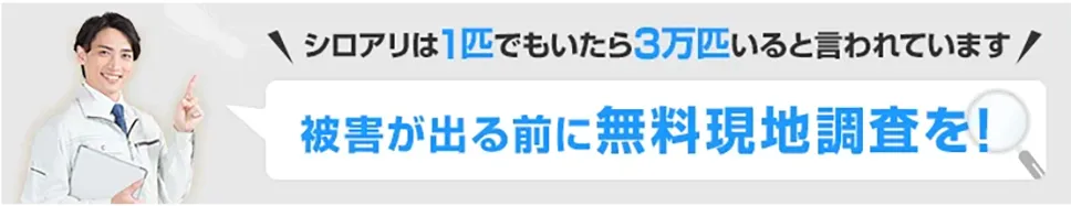 シロアリは1匹でもいたら3万匹いると言われています。
被害が出る前に無料現地調査を!