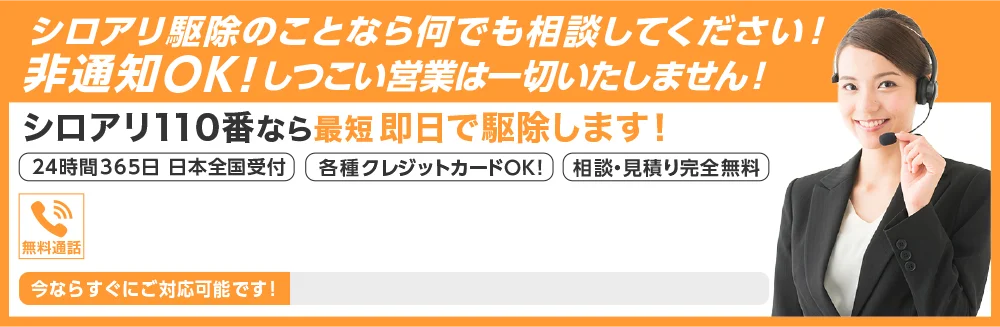 シロアリ駆除の事ことなら何でも相談してください。非通知OK!しつこい営業は一切いたしません！シロアリ110番なら最短即日で駆除します！24時間365日受付、各種クレジットカードOK、相談・見積り完全無料のシロアリ110番にご相談ください。