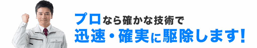 プロなら確かな技術で迅速・確実に駆除します！