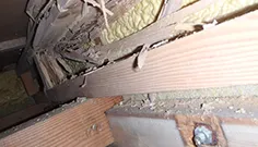 大事な家を傷つけてしまうかも…