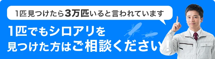 シロアリは1匹見つけたら3万匹いると言われています。1匹でもシロアリを 見つけた方はご相談ください！
