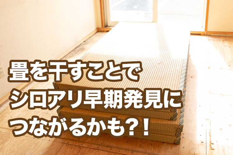 もうシロアリに畳を食べさせない！畳のお手入れ方法