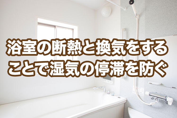 自宅でできる浴室のシロアリ対策