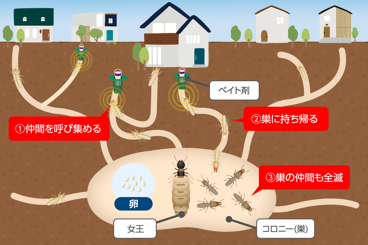 ベイト工法の仕組み