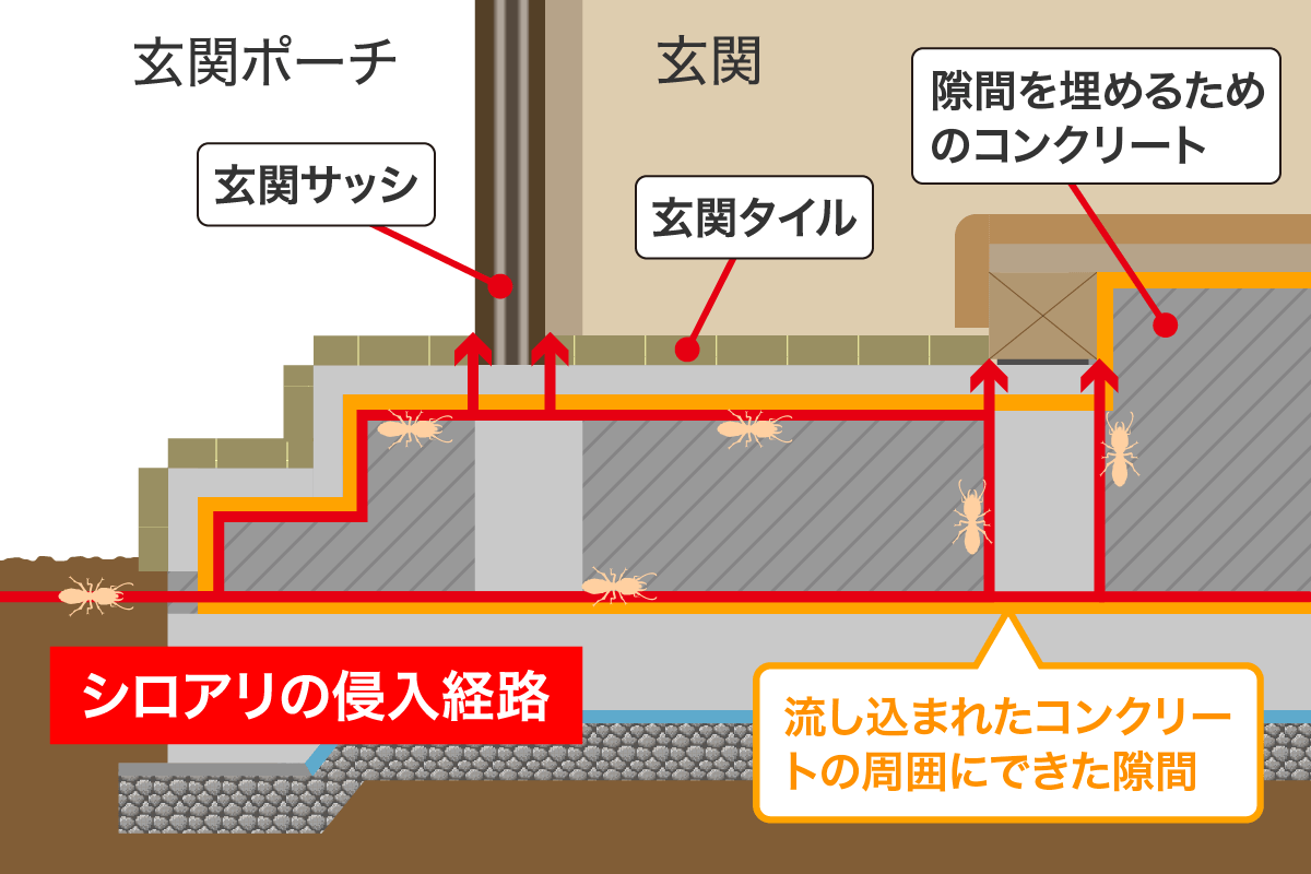 玄関ポーチのシロアリ侵入経路