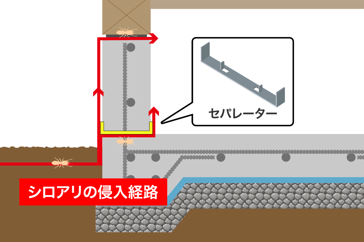 セパレーターのシロアリ侵入経路