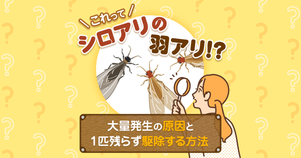 この羽アリはシロアリ？大量発生の原因と駆除方法