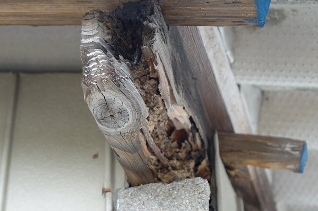 アローズ東海屋根の被害