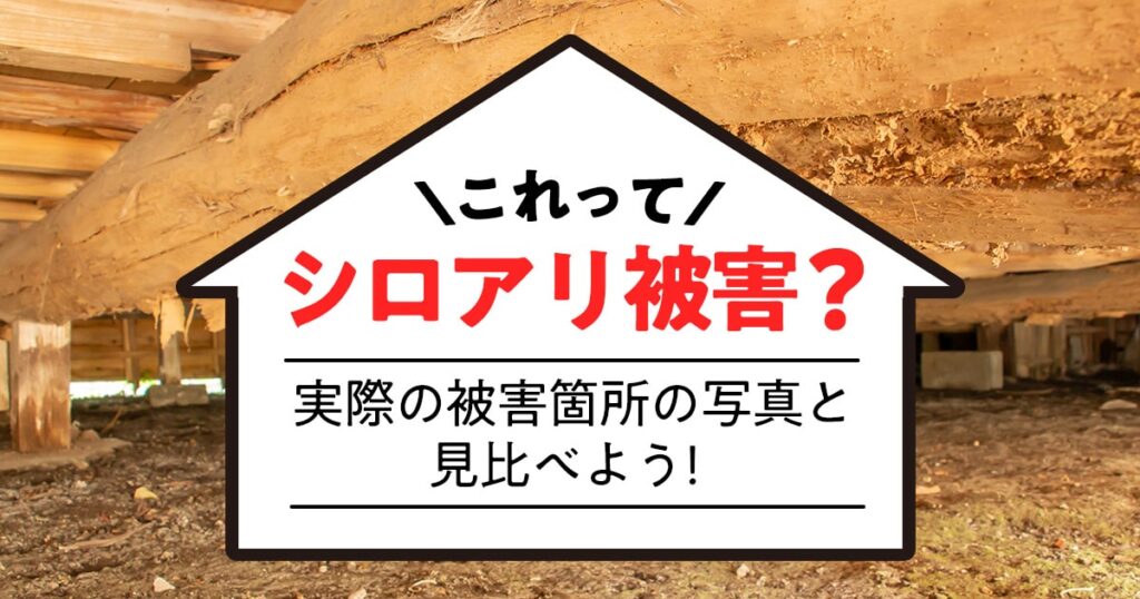 これってシロアリ被害？実際の被害箇所の写真と見比べよう！