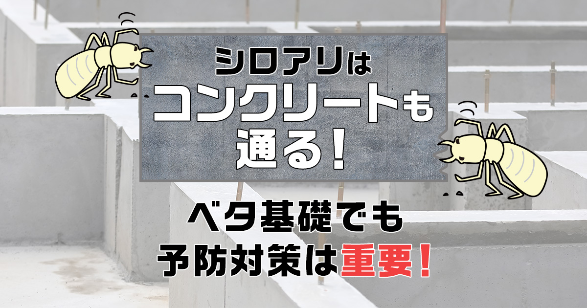 シロアリはコンクリートも通る！ベタ基礎でも予防対策は重要！