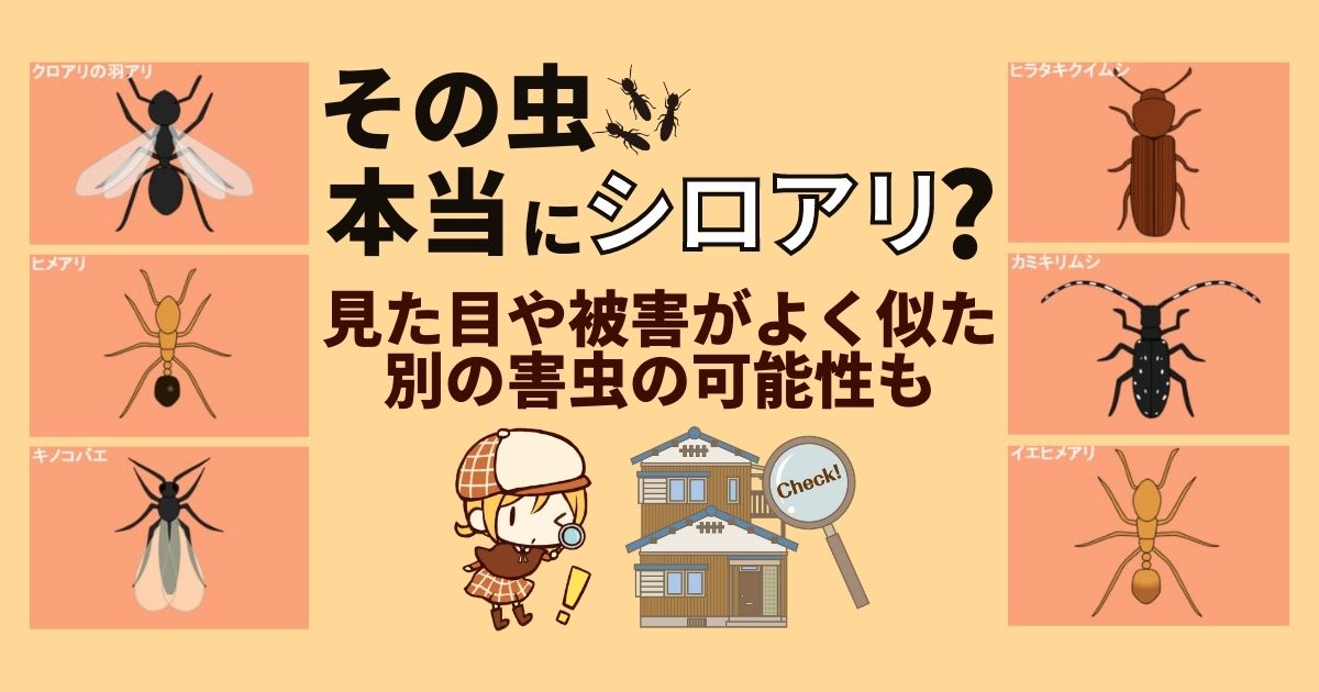 その虫本当にシロアリ？見た目や被害がよく似た別の害虫の可能性も