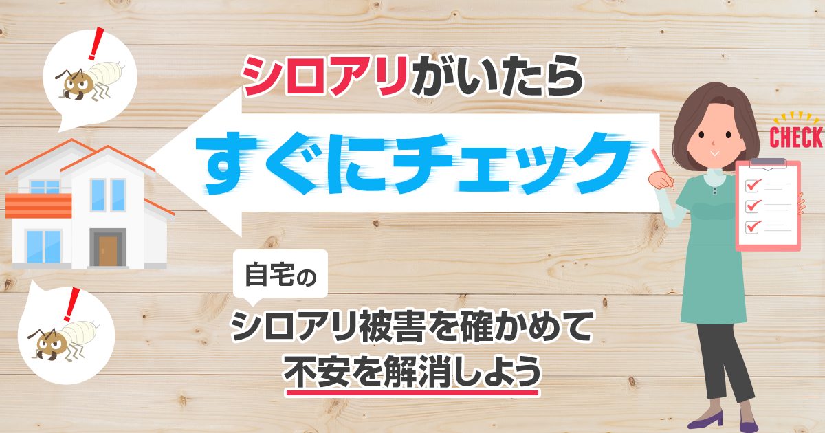 シロアリを見つけたらすぐにチェック！自宅のシロアリ被害を確かめて不安を解消しよう