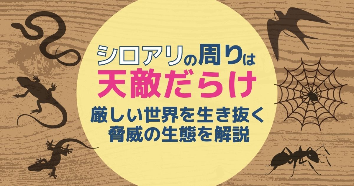 シロアリの天敵と脅威の生態