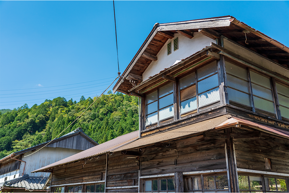 シロアリがいないか調査したい