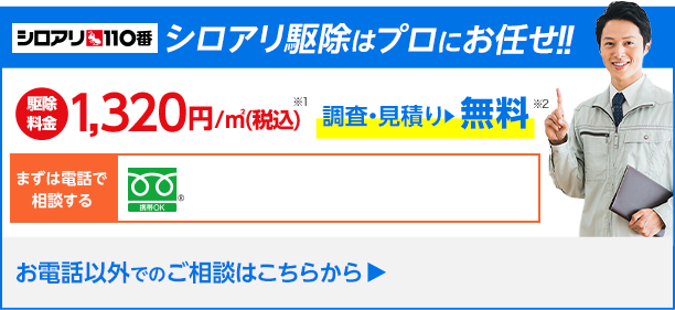 シロアリ駆除はプロにお任せください！