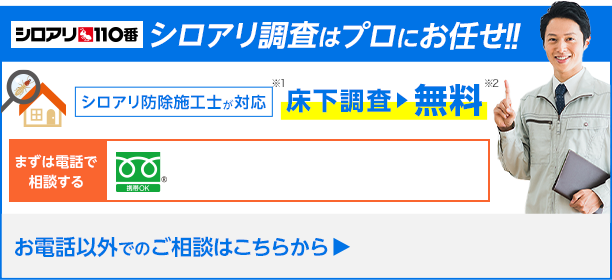 シロアリ調査はプロにお任せください！