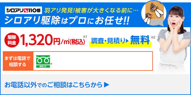 羽アリ駆除はプロにお任せください！