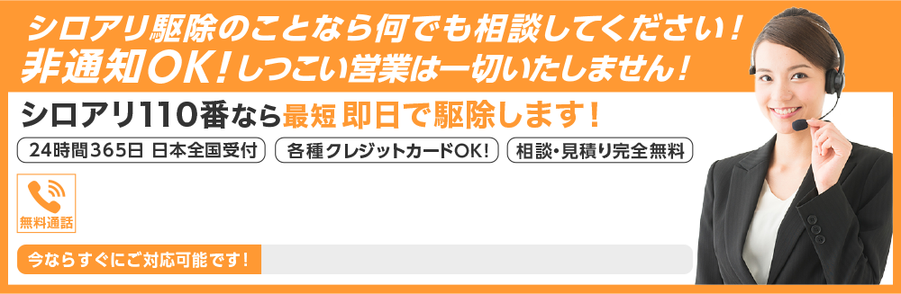 シロアリ駆除のことなら何でも相談してください！