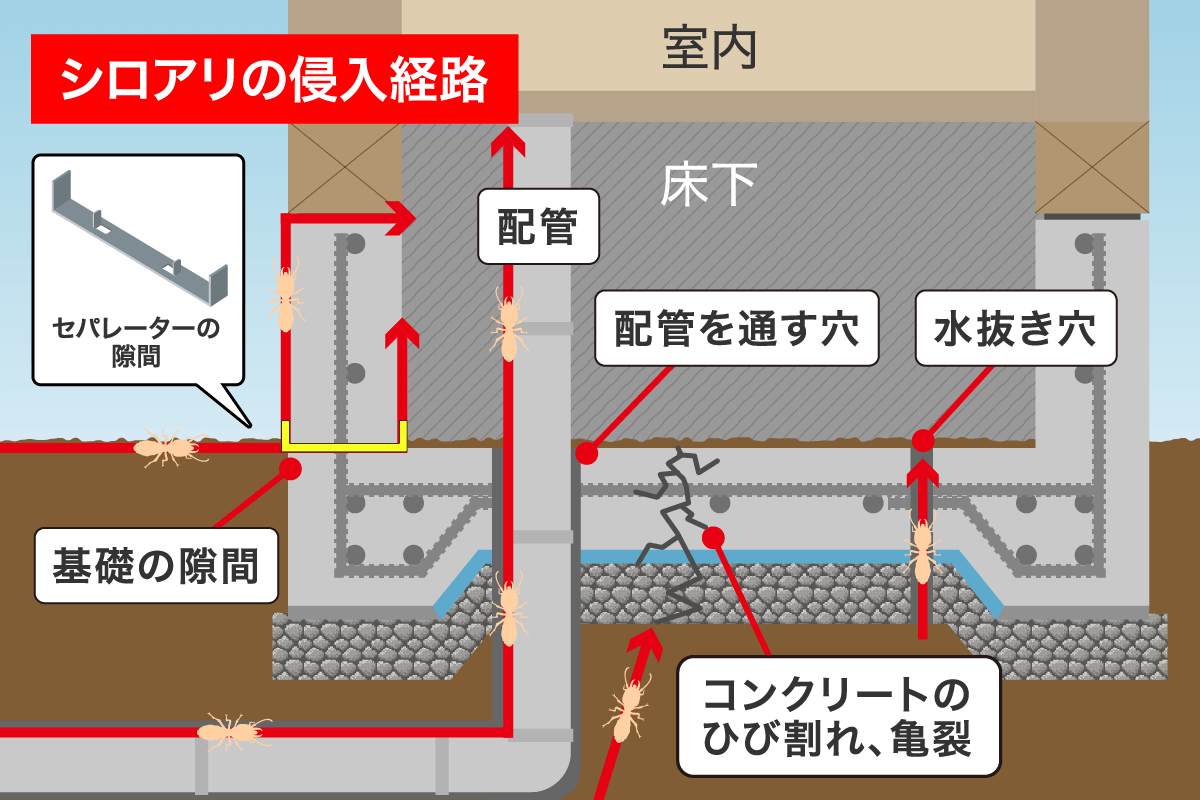 ベタ基礎全のシロアリの侵入経路