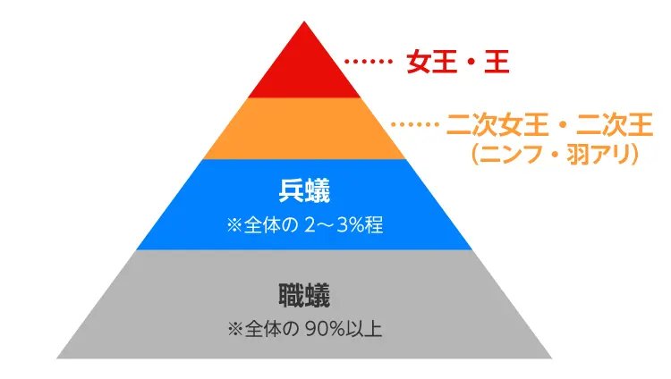 シロアリの社会構造