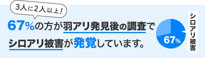 3人に2人以上!67%の方が羽アリ発見後の調査でシロアリ被害が発覚しています。羽アリ駆除を自分でおこなう前に、無料調査をおすすめします。