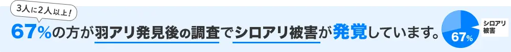 3人に2人以上!67%の方が羽アリ発見後の調査でシロアリ被害が発覚しています。羽アリ駆除を自分でおこなう前に、無料調査をおすすめします。