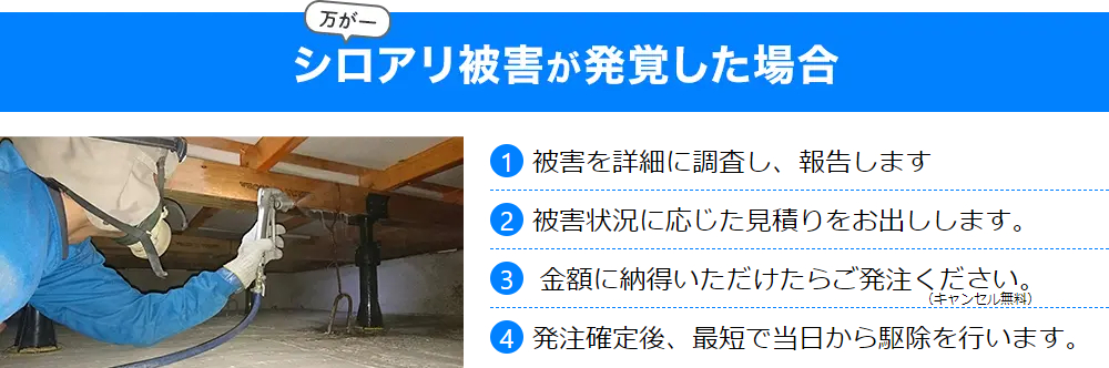 万が一シロアリや羽アリ被害が発覚した場合、自分で駆除する前にご連絡ください。 1.プロのシロアリ・羽アリの駆除業者が被害を詳細に調査し、報告します。 2.被害状況やシロアリ・羽アリの駆除方法に応じた見積りをお出しします。 3.金額に納得いただけたらご発注ください。 4.発注確定後、最短で当日から駆除を行います。