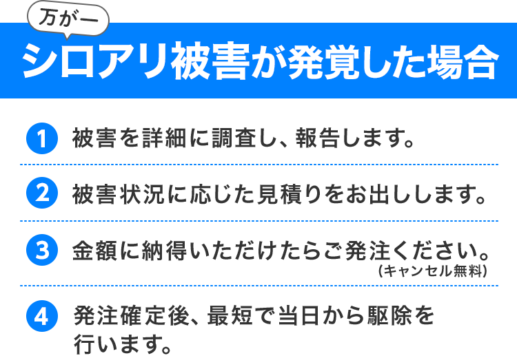 万が一シロアリや羽アリ被害が発覚した場合、自分で駆除する前にご連絡ください。 1.プロのシロアリ・羽アリの駆除業者が被害を詳細に調査し、報告します。 2.被害状況やシロアリ・羽アリの駆除方法に応じた見積りをお出しします。 3.金額に納得いただけたらご発注ください。 4.発注確定後、最短で当日から駆除を行います。