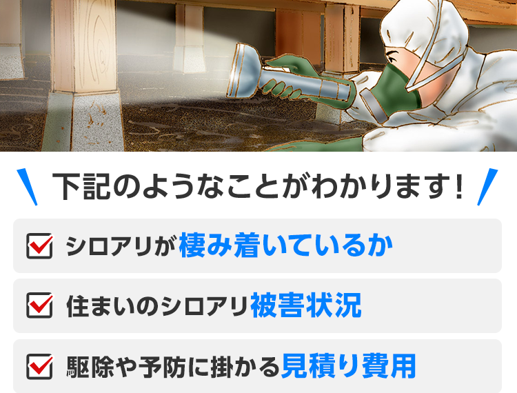 床下の現地調査　下記のようなことがわかります！・シロアリが棲み付いているか　・住まいのシロアリ被害状況　・駆除や予防に掛かる見積り費用　※対応エリア・加盟店・現場状況により、事前にお客様の了承をいただいた上で、調査費用等をいただく場合がございます。