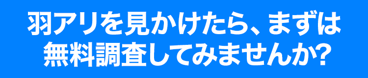 羽アリを見かけたら、まずは無料調査してみませんか？