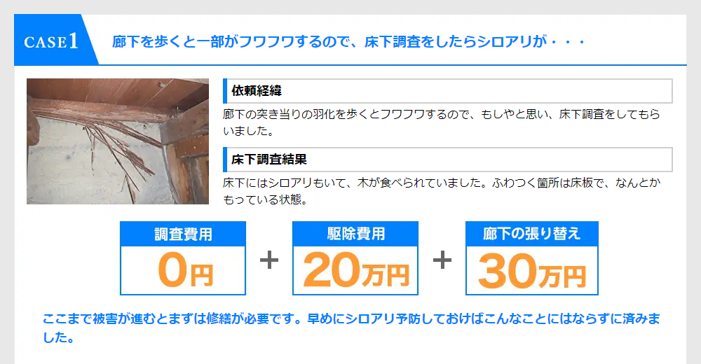 CASE1 調査費用0円、駆除費用20万円、廊下の張り替え30万円