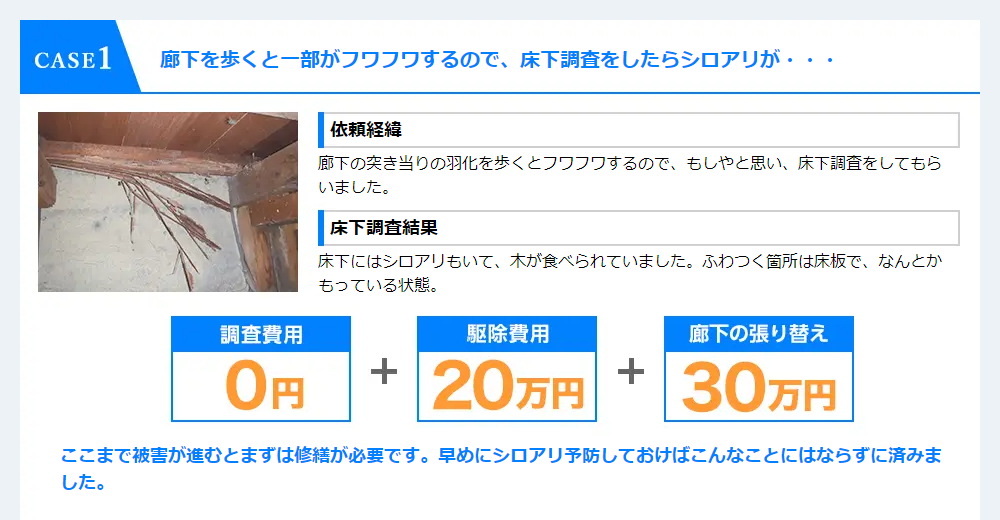 CASE1 調査費用0円、駆除費用20万円、廊下の張り替え30万円