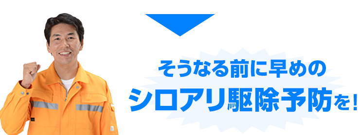 そうなる前に早めのシロアリ駆除予防を！