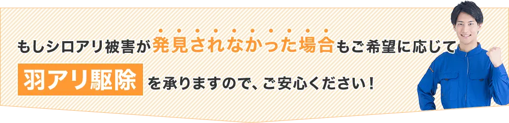 もしシロアリ被害が発見されなかった場合もご希望に応じて羽アリ駆除を承りますので、ご安心ください!