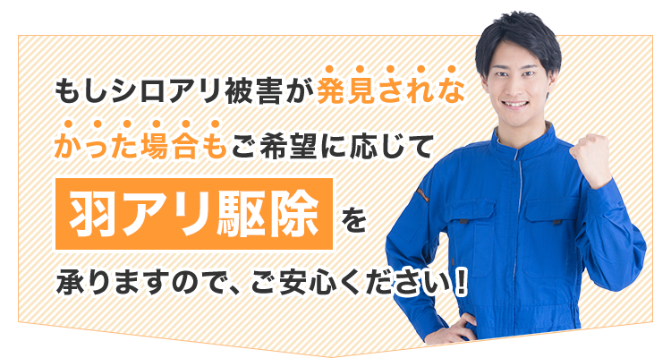 もしシロアリ被害が発見されなかった場合もご希望に応じて羽アリ駆除を承りますので、ご安心ください!
